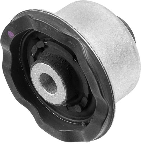 LEMFÖRDER 42667 01 Mounting, control/trailing arm
