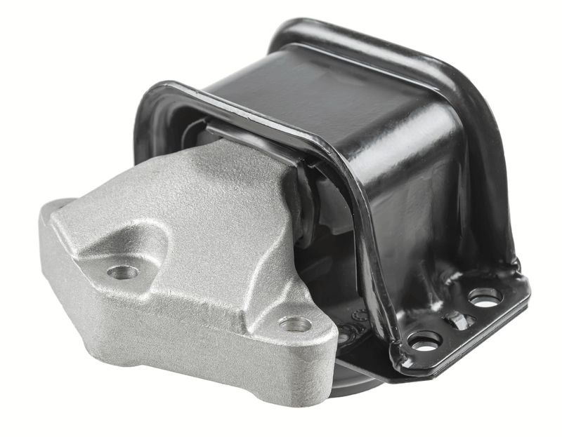 LEMFÖRDER 44066 01 Mounting, engine