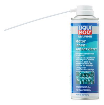 Engine Cleaner LIQUI MOLY 25032