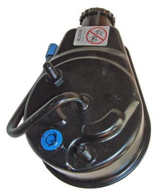 Hydraulic Pump, steering LIZARTE 04.30.0800