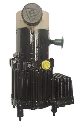 Hydraulic Pump, steering LIZARTE 04.55.0401