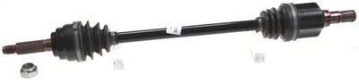 Drive Shaft LÖBRO 302839