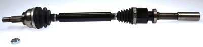 Drive Shaft LÖBRO 303631