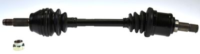 Drive Shaft LÖBRO 304270