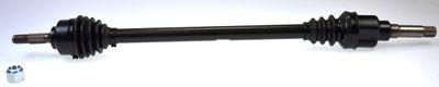 Drive Shaft LÖBRO 304571