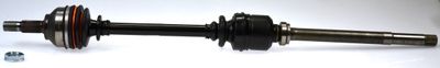 Drive Shaft LÖBRO 304580