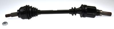 Drive Shaft LÖBRO 304851