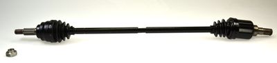 Drive Shaft LÖBRO 304869