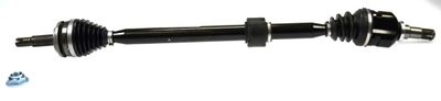 Drive Shaft LÖBRO 304948
