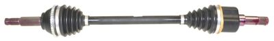 Drive Shaft LÖBRO 305710