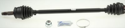 Drive Shaft LÖBRO 305824