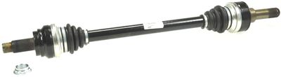 Drive Shaft LÖBRO 305985