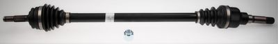 Drive Shaft LÖBRO 306505