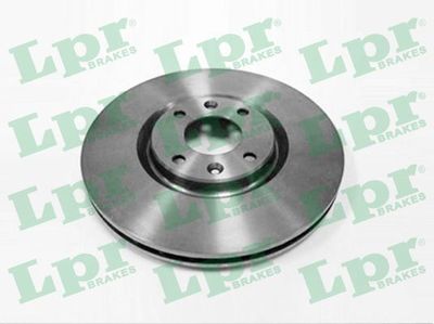 Brake Disc LPR P1010V