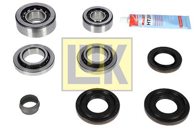 Repair Kit, differential Schaeffler LuK 462 0215 10