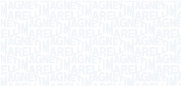 MAGNETI MARELLI 313011313176 Fuel Supply Module