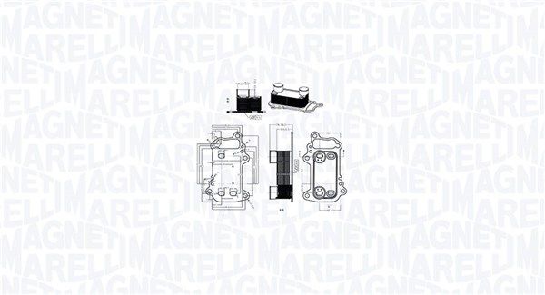 MAGNETI MARELLI 350300003900 Oil Cooler, engine oil