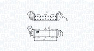 Charge Air Cooler MAGNETI MARELLI 351319204490