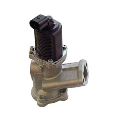 MAGNETI MARELLI 571822112002 EGR Valve