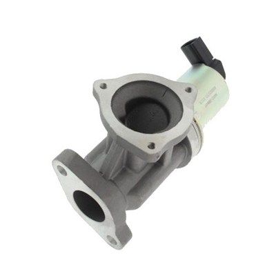 MAGNETI MARELLI 571822112012 EGR Valve