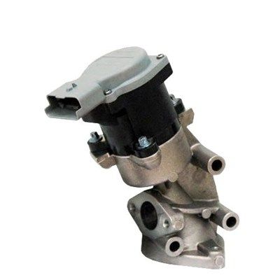 EGR Valve MAGNETI MARELLI 571822112032