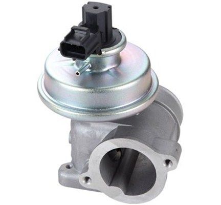 MAGNETI MARELLI 571822112109 EGR Valve