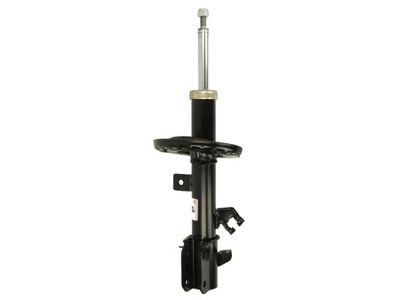 Shock Absorber Magnum Technology AG1096MT