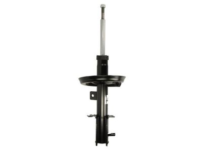Shock Absorber Magnum Technology AGC040MT