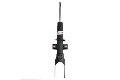 Shock Absorber Magnum Technology AGW098