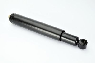 Shock Absorber Magnum Technology AHF042MT