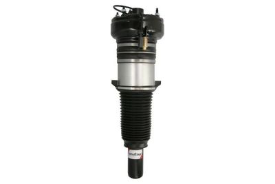 Air Suspension Strut Magnum Technology APA004MT