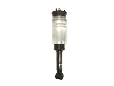 Air Suspension Strut Magnum Technology APL009MT