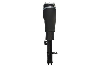 Air Suspension Strut Magnum Technology APL017MT