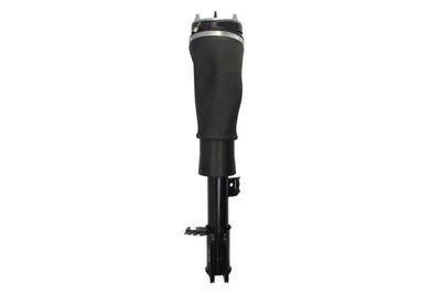 Air Suspension Strut Magnum Technology APL018MT