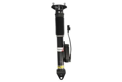 Shock Absorber Magnum Technology APM006MT