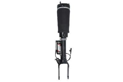 Air Suspension Strut Magnum Technology APM008MT