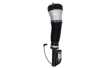 Air Suspension Strut Magnum Technology APM009MT
