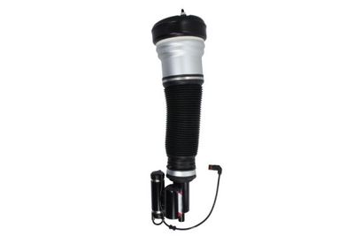 Air Suspension Strut Magnum Technology APM012MT