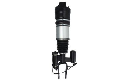 Air Suspension Strut Magnum Technology APM016MT
