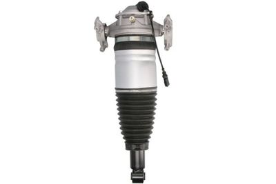 Air Suspension Strut Magnum Technology APW007MT