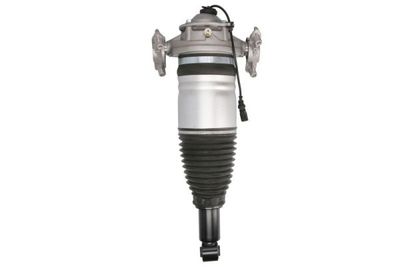Air Suspension Strut Magnum Technology APW008MT