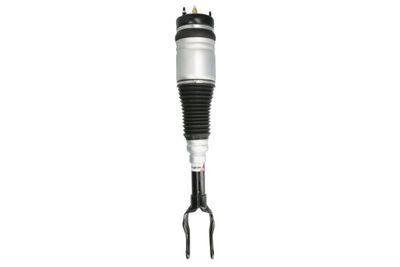 Air Suspension Strut Magnum Technology APY001MT