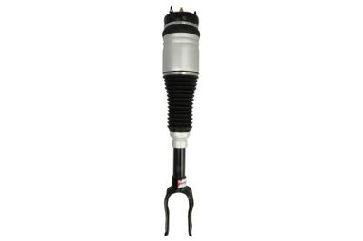 Air Suspension Strut Magnum Technology APY002MT