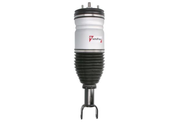 Magnum Technology APY004MT Air Suspension Strut