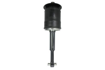 Shock Absorber Magnum Technology M0166