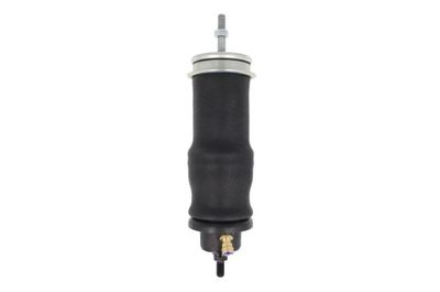 Shock Absorber, driver cab suspension Magnum Technology MC165