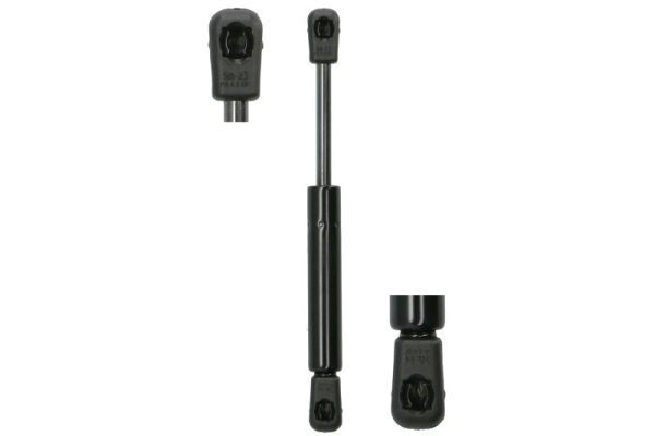 Magnum Technology MGS106 Gas Spring, door