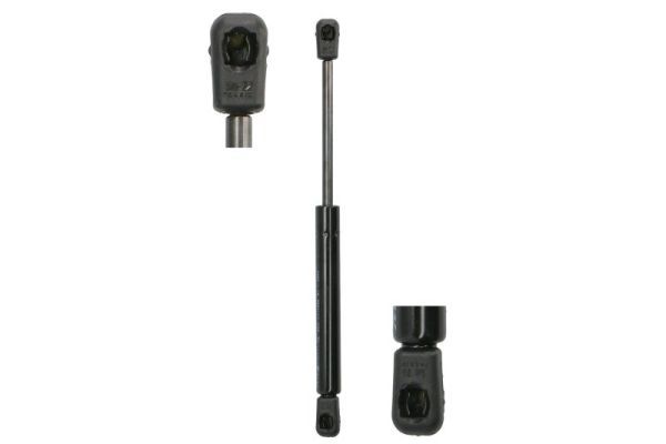 Magnum Technology MGS123 Gas Spring, door