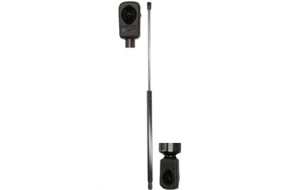 Gas Spring Magnum Technology MGS125