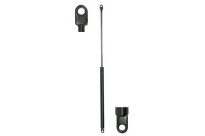 Gas Spring, door Magnum Technology MGS137